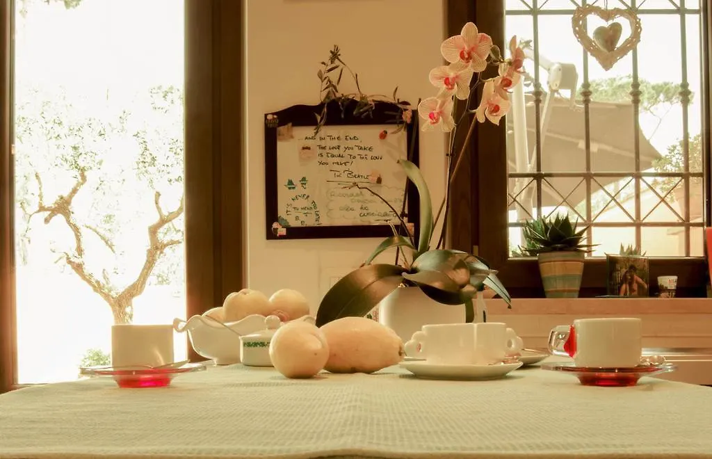 Bed & Breakfast B&B Chalet Dei Pescatori Roma